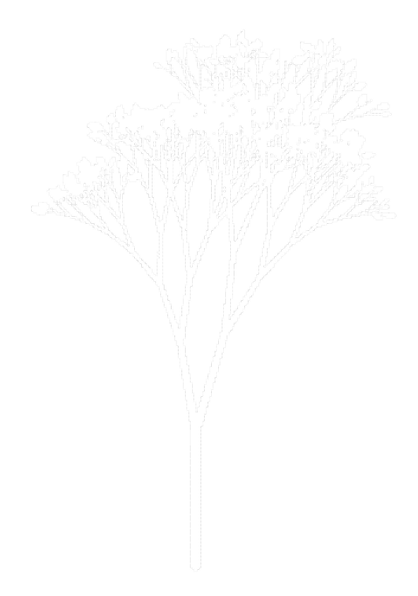 Creative Coding cover image